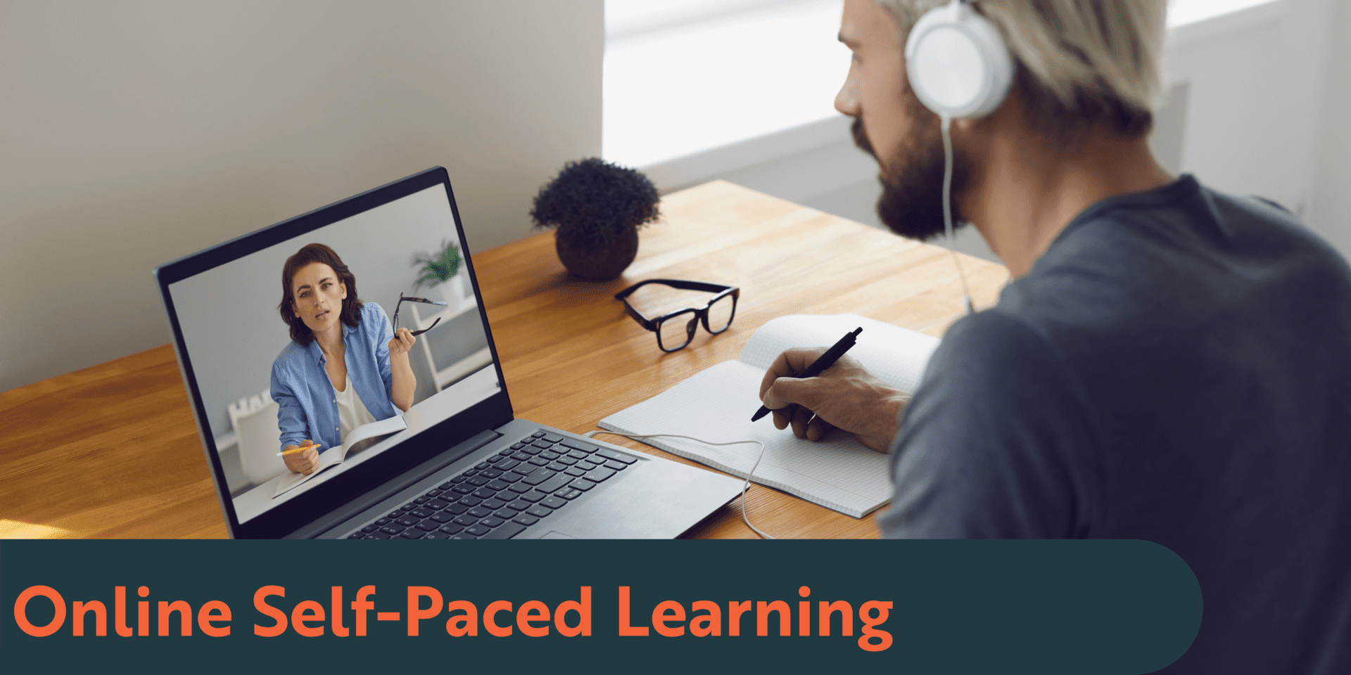 Online Self Paced Learning
